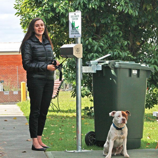 Bin security post with waste bag dispenser