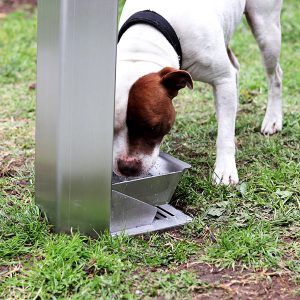 Kiama Drinking Fountain dog bowl