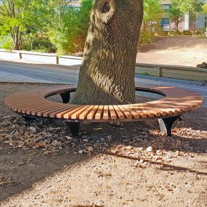 Tree surrounding bench