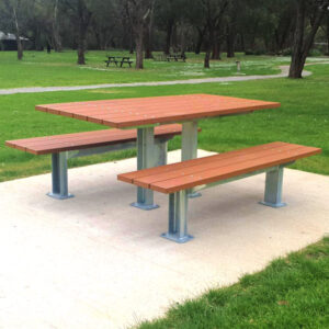 Park Picnic Table