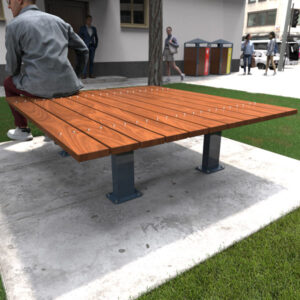 Large Heavy Duty Platform Bench